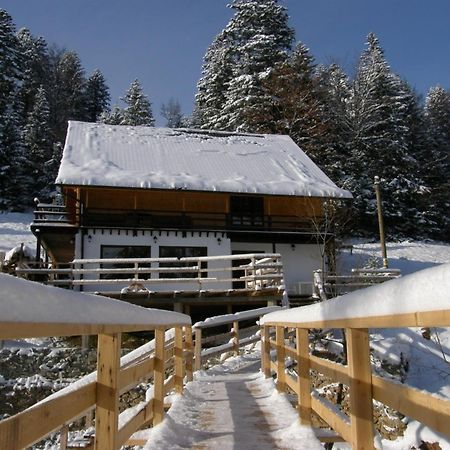 Cabana Cota 1000 Arieşeni Exterior foto