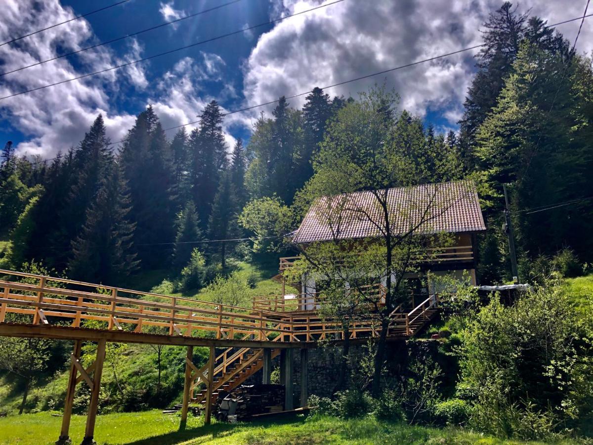 Cabana Cota 1000 Arieşeni Exterior foto