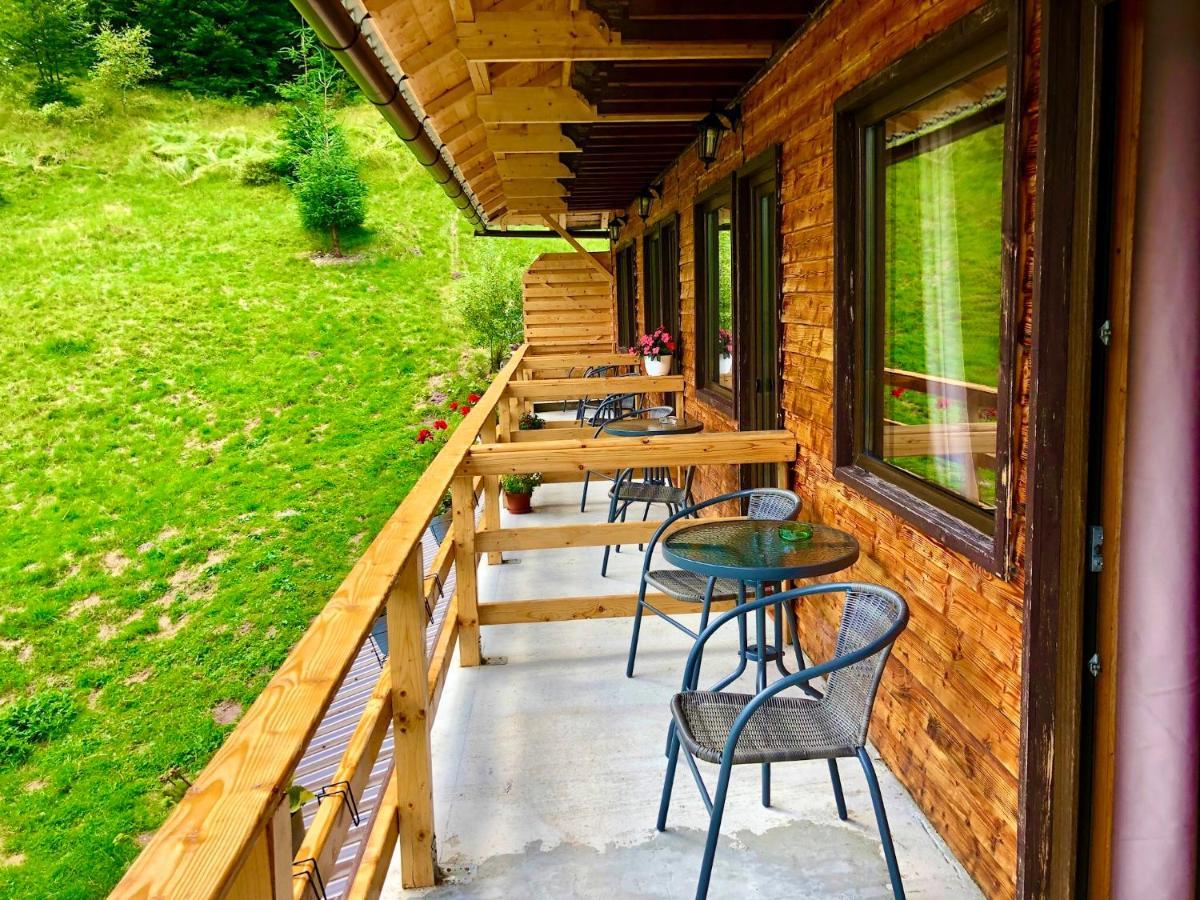 Cabana Cota 1000 Arieşeni Exterior foto